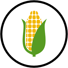 BITCORN Icon