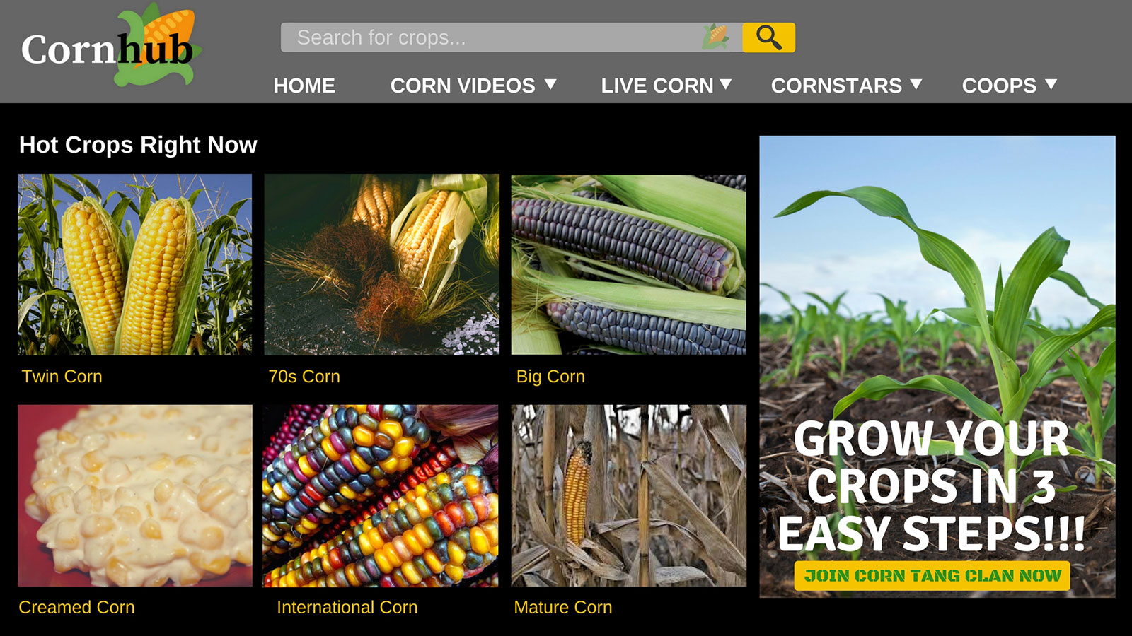 The Corn Hub